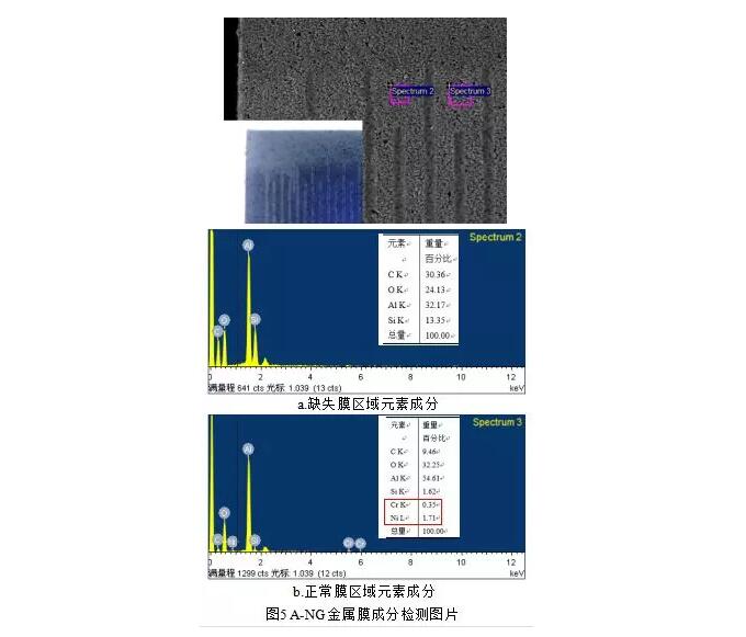 缺失膜與正常膜區(qū)域的元素檢測(cè)結(jié)果