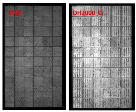 圖13 組件采用VA33含量EVA封裝后，DH2000前后的EL圖